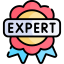 Expert Icon